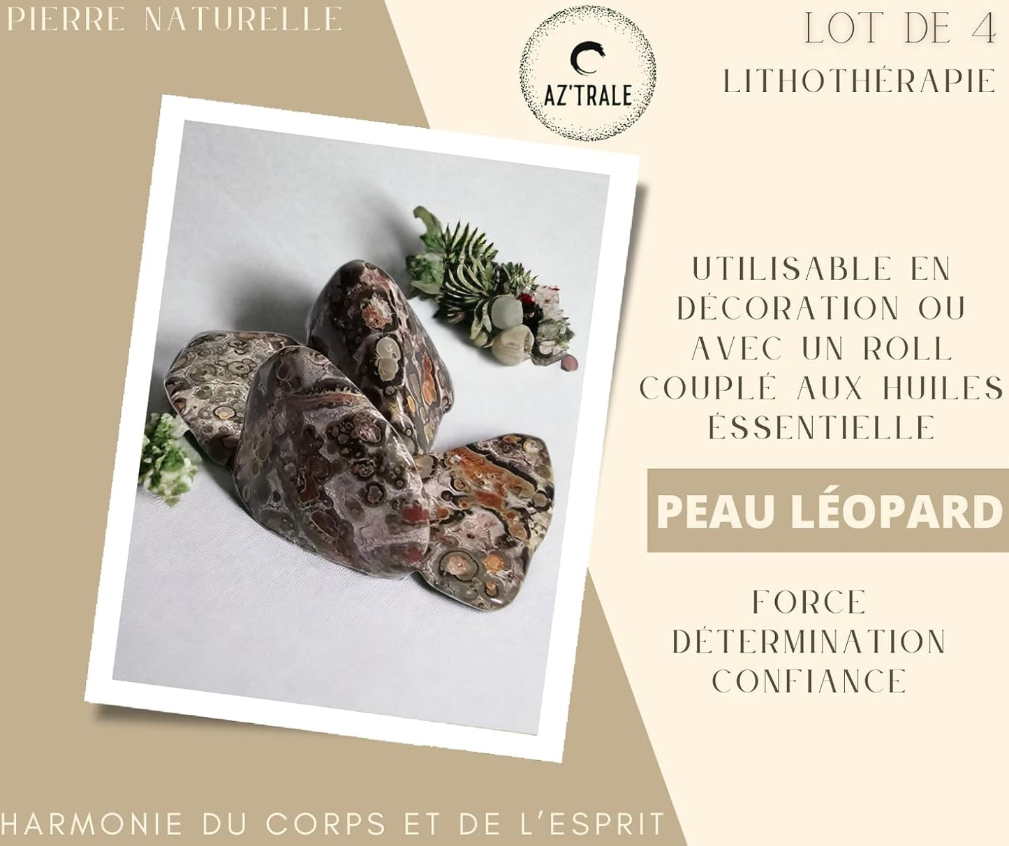 Set di 4 pietre naturali - Possono essere utilizzate per decorare, massaggiare e riempire rulli con oli essenziali - ideali per la meditazione e il benessere Diaspro pelle di leopardo
