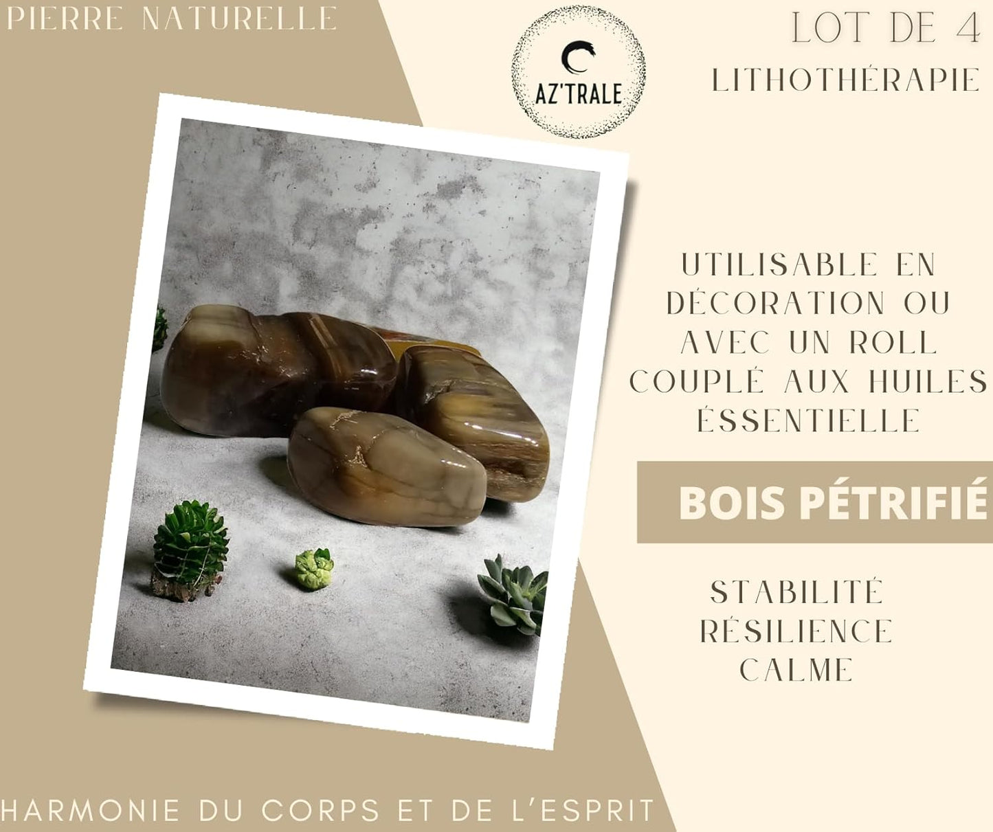 Set di 4 Pietre Naturali - da 1 a 2,5 CM - Utilizzabili nella decorazione, nei rulli massaggianti e per ricaricare con oli essenziali - ideali per la Meditazione e il Benessere (Legno Pietrificato)