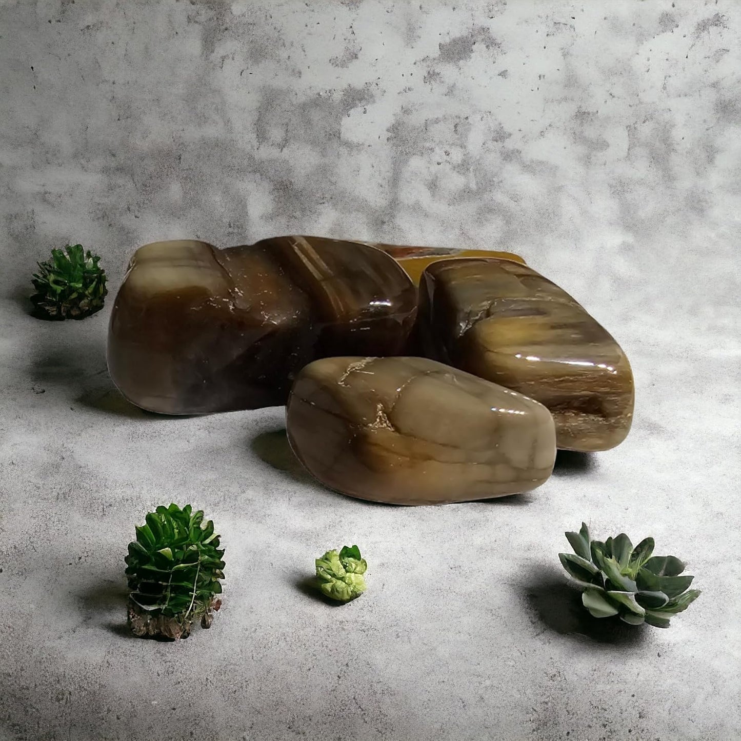 Set di 4 Pietre Naturali - da 1 a 2,5 CM - Utilizzabili nella decorazione, nei rulli massaggianti e per ricaricare con oli essenziali - ideali per la Meditazione e il Benessere (Legno Pietrificato)