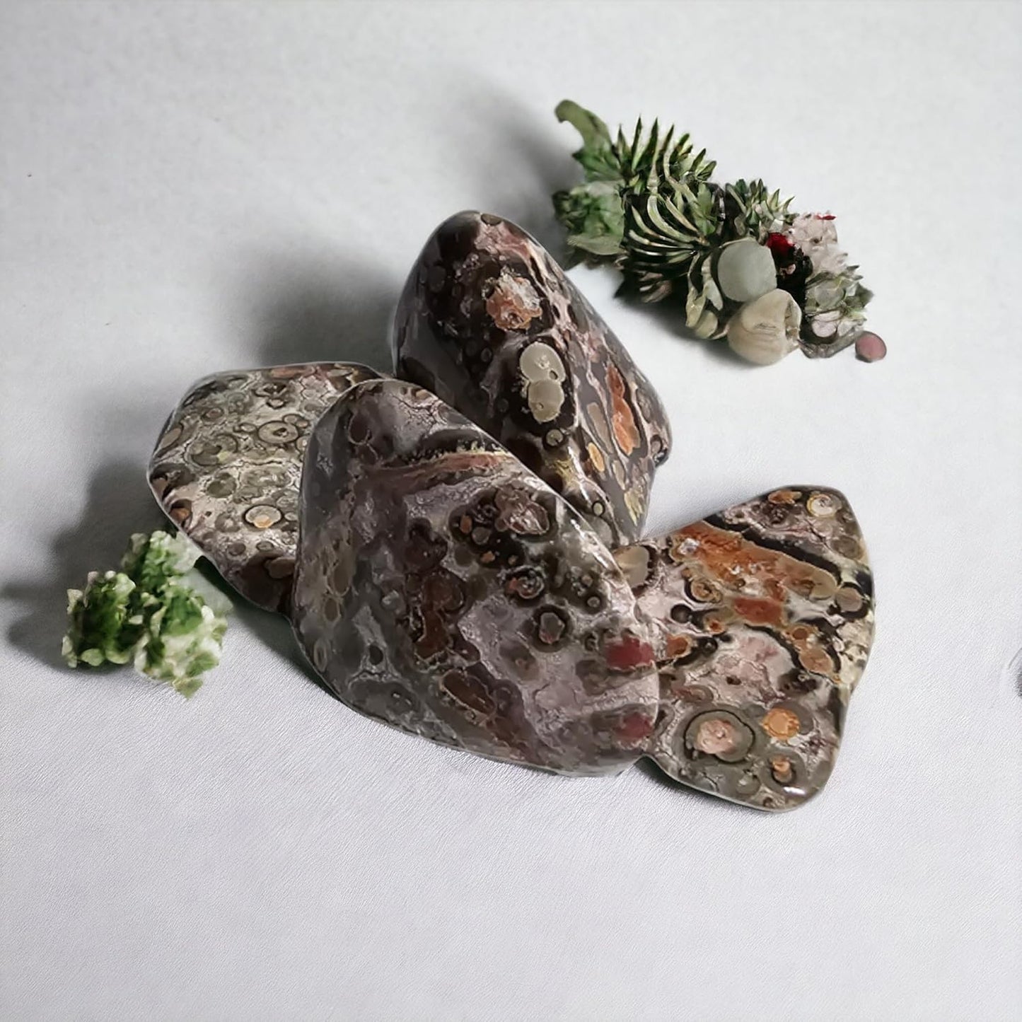 Set di 4 pietre naturali - Possono essere utilizzate per decorare, massaggiare e riempire rulli con oli essenziali - ideali per la meditazione e il benessere Diaspro pelle di leopardo
